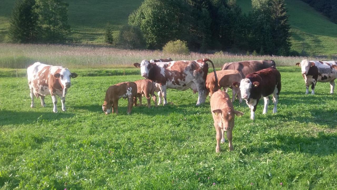 Ferienhof Ammann Villa Bad Hindelang Bagian luar foto